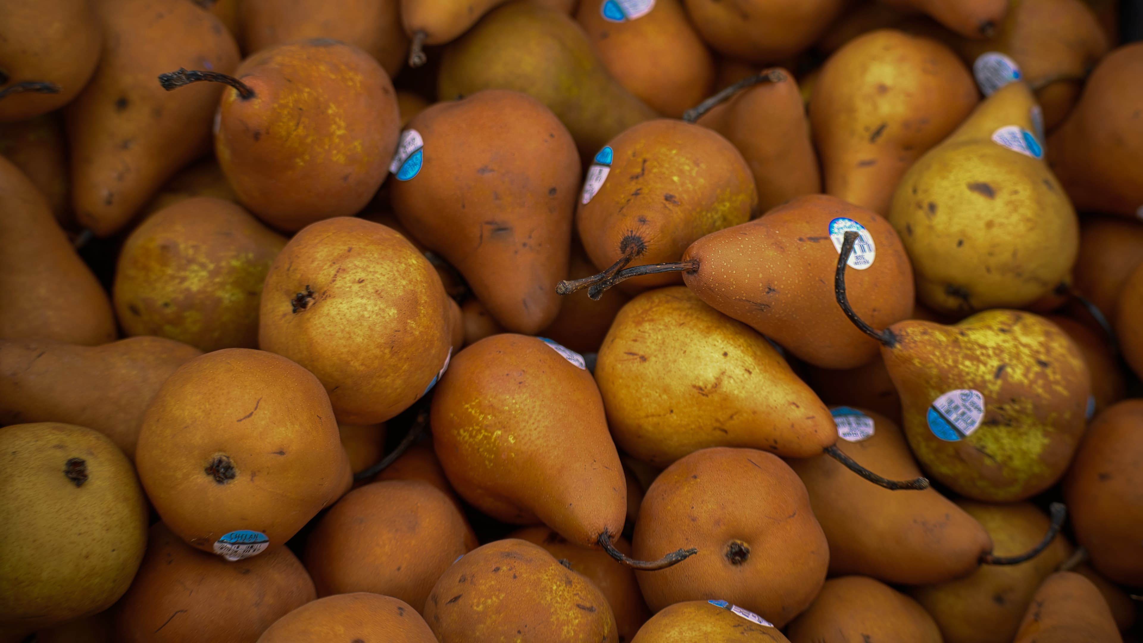 Цифровой паспорт продукта (DPP)