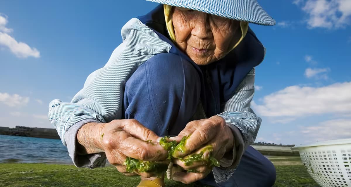 Голубые зоны и секрет долголетия